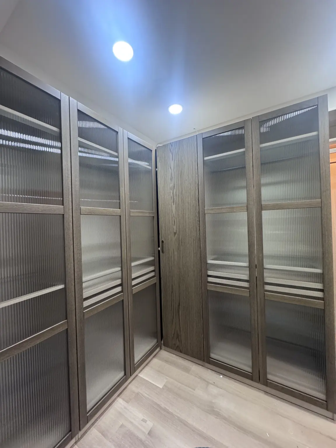 Dark glass-door closet with illuminated storage